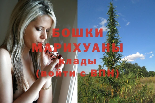 стафф Киреевск