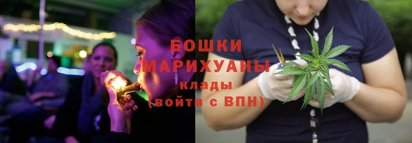 ГАЛЛЮЦИНОГЕННЫЕ ГРИБЫ Киренск