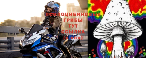 ГАЛЛЮЦИНОГЕННЫЕ ГРИБЫ Киренск