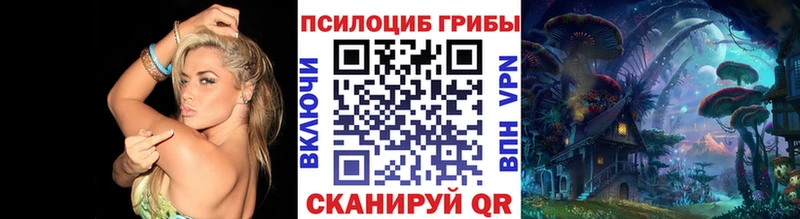 как найти наркотики  Шиханы  Галлюциногенные грибы Cubensis 